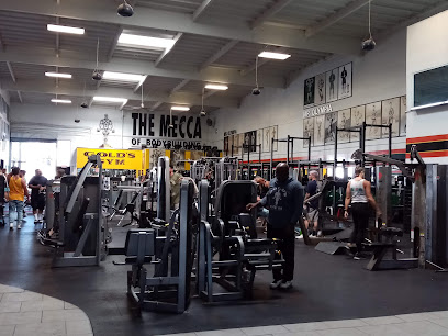 Gold's Gym Venice thumb 2